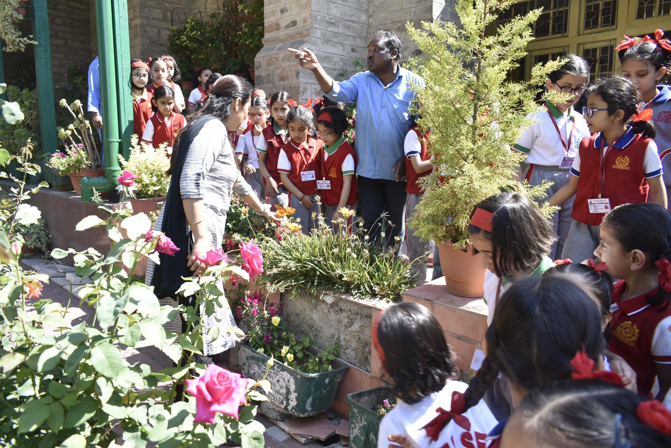 WORLD ENVIRONMENT DAY ACTIVITY (I-V)