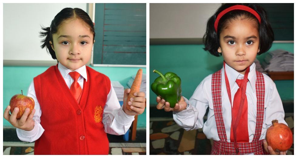 IDENTIFICATION OF FRUITS AND VEGETABLES (NURSERY)