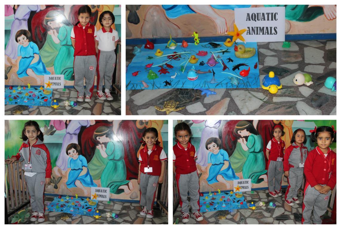 ACTIVITY RELATED TO ANIMALS (KG)