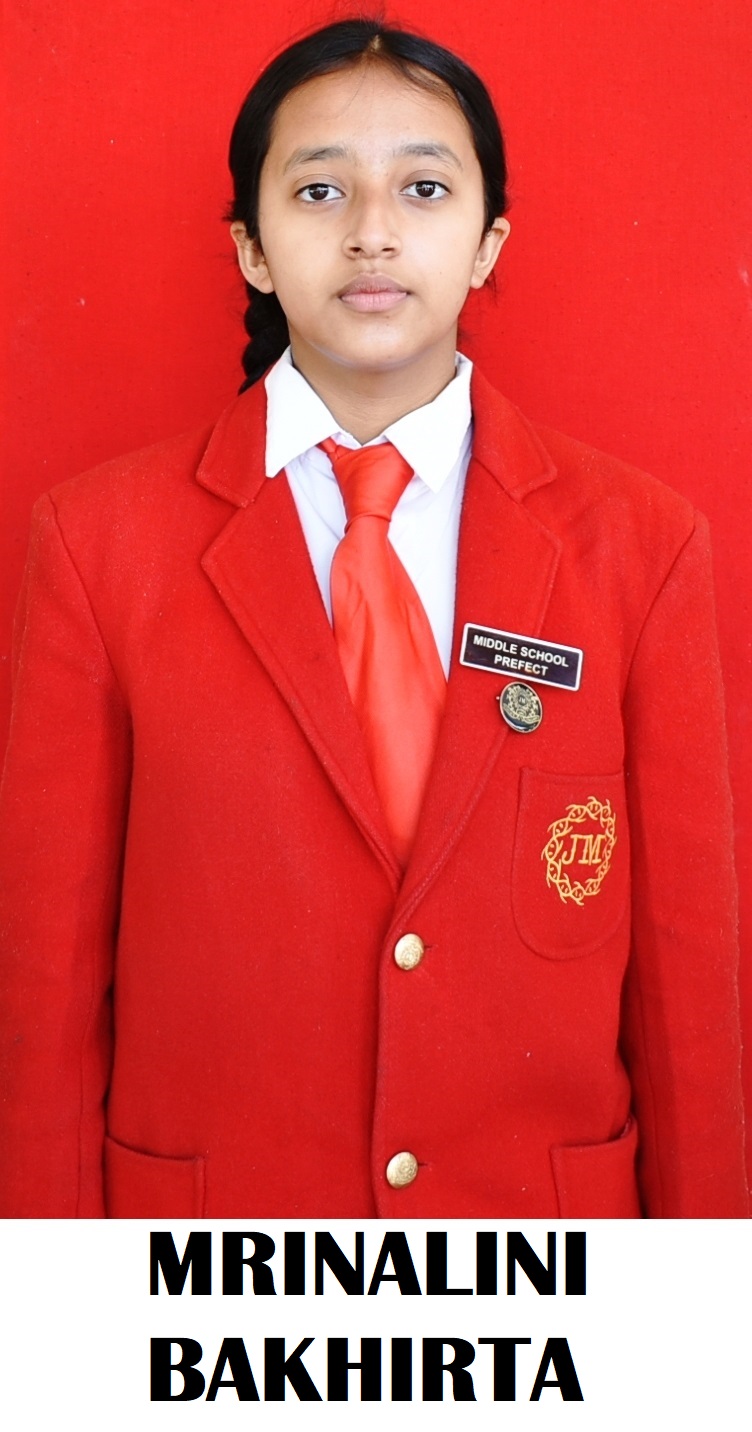 Mrinalini Bakhirta